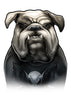 Chest Piece English Bulldog Temporary Tattoos - Inked Dogs Tattoos