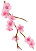 Cherry Blossom Branch Temporary Tattoo - Vintage Floral Tattoos