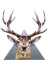 Deer tattoo