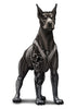 Sleeved Doberman Temporary Tattoos - Inked Dogs Tattoos