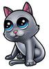 Pettoo Temporary Tattoos Set
