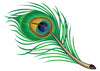 Peacock Feather Upper Back Temporary Tattoo - Upper & Lower Back Tattoos