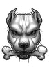 Black, Gray and Red Temporary Tattoo Set