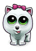 Pettoo Temporary Tattoos Set