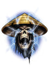Raiden temporary tattoo