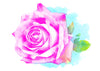 Rose Temporary Tattoo - Watercolor Tattoos