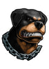 Chained Rottweiler Temporary Tattoos - Inked Dogs Tattoos