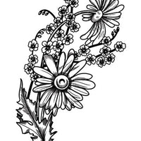 Sketch Daisies Temporary Tattoo - Vintage Floral Tattoos