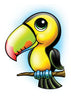 Tucan Temporary Tattoo - Zootoos