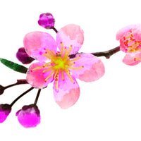 Cherry Blossom Temporary Tattoo - Watercolor Tattoos