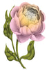 Single Flower Temporary Tattoo - Vintage Floral Tattoos